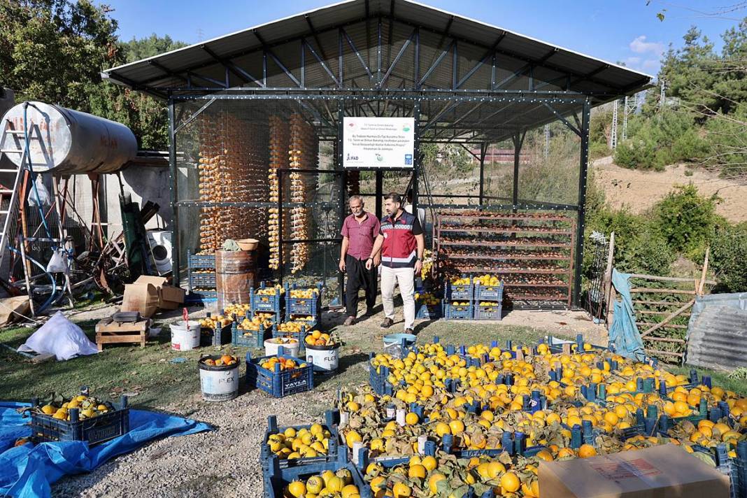 Bu meyvenin yaş kilosu 20 TL, kuru kilosu 200 TL! O köyün en büyük geçim kaynağı 2